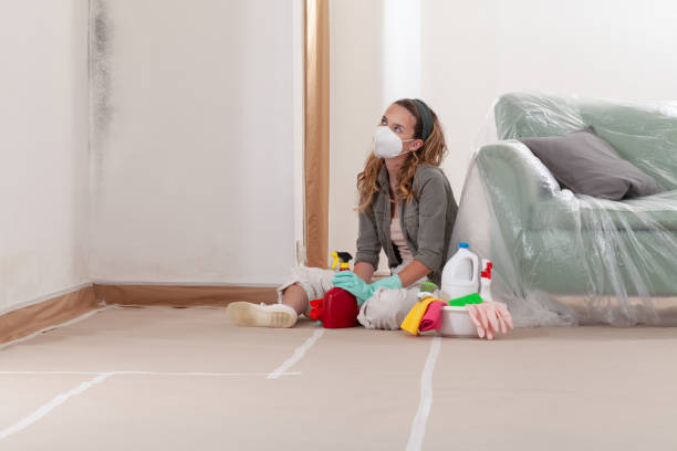 Reliable Basement Mold Removal contractor in Lake Dallas, TX by Cheap Mold Removal